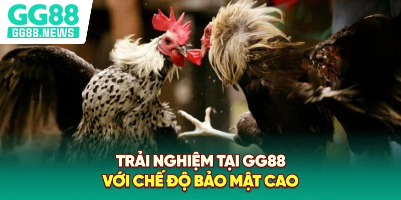 Trải nghiệm tại GG88 với chế độ bảo mật cao Trải nghiệm tại GG88 với chế độ bảo mật cao